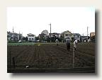 More fascinating urban farmlets IMG_5618